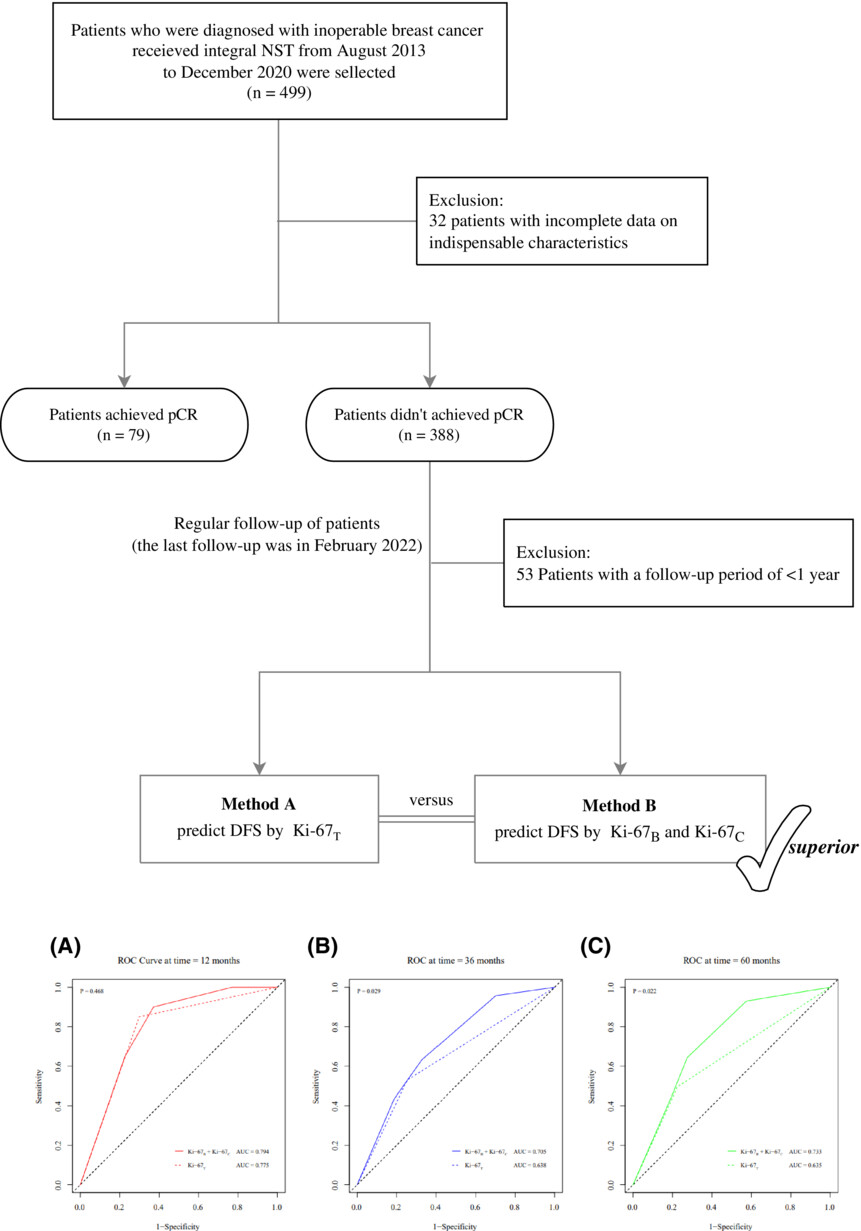 Prognostic analysis of three forms of Ki-67 in patients with breast cancer with non-pathological complete response before and after neoadjuvant systemic treatment