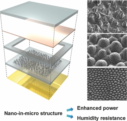 Nature-Replicated Nano-in-Micro Structures for Triboelectric Energy Harvesting