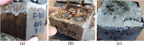 Details are in the caption following the image Details are in the caption following the image