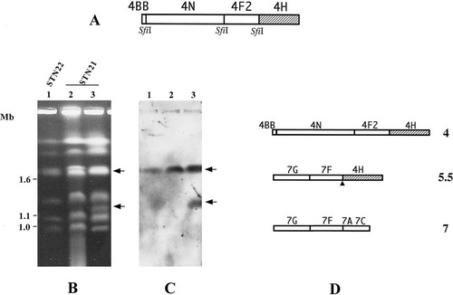 Details are in the caption following the image Details are in the caption following the image