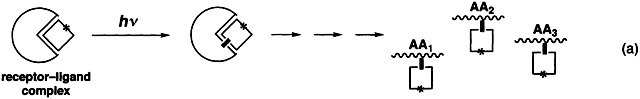 Recent Trends in Photoaffinity Labeling