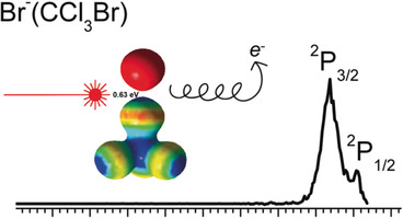 Spectroscopic Measurement of a Halogen Bond Energy
