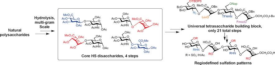 Expedient Synthesis of Core Disaccharide Building Blocks from Natural Polysaccharides for Heparan Sulfate Oligosaccharide Assembly