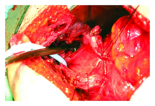 Details are in the caption following the image Details are in the caption following the image