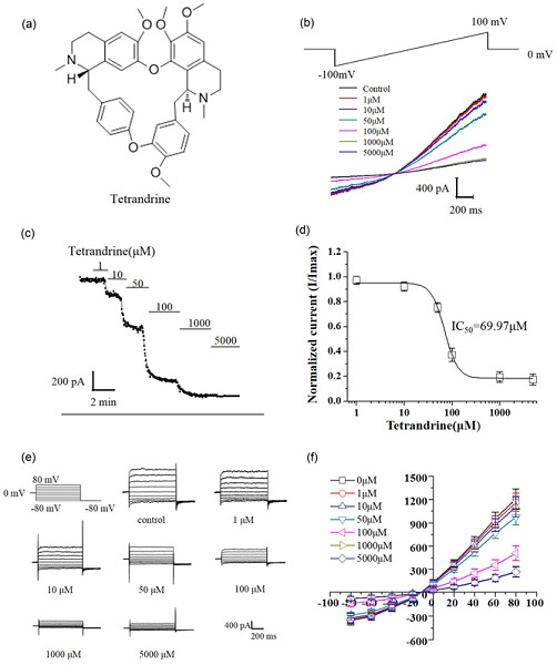Tetrandrine, a novel inhibitor of ether-à-go-go-1 (Eag1), targeted to cervical cancer development