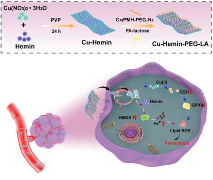 Functionalized Tumor-Targeting Nanosheets Exhibiting Fe(II) Overloading and GSH Consumption for Ferroptosis Activation in Liver Tumor