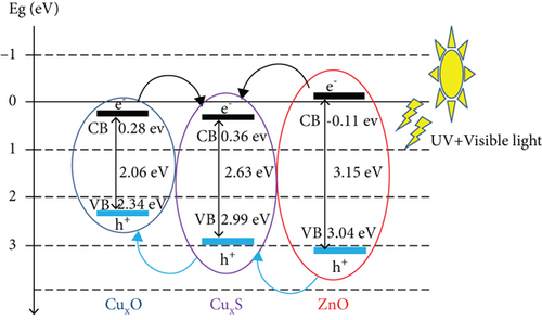 Details are in the caption following the image Details are in the caption following the image