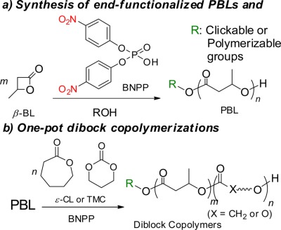 Bis(4-nitrophenyl) phosphate as an efficient organocatalyst for ring-opening polymerization of β-butyrolactone leading to end-functionalized and diblock polyesters