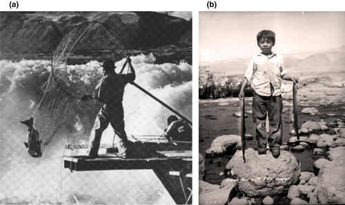 Details are in the caption following the image Details are in the caption following the image