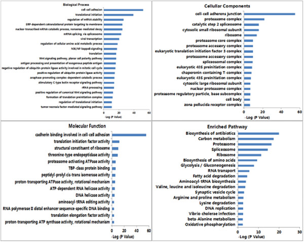 Glial cell line-derived neurotrophic factor alters lipid composition and protein distribution in MPP+-injured differentiated SH-SY5Y cells