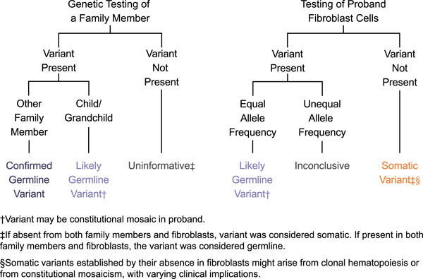 A substantial proportion of apparently heterozygous TP53 pathogenic variants detected with a next-generation sequencing hereditary pan-cancer panel are acquired somatically