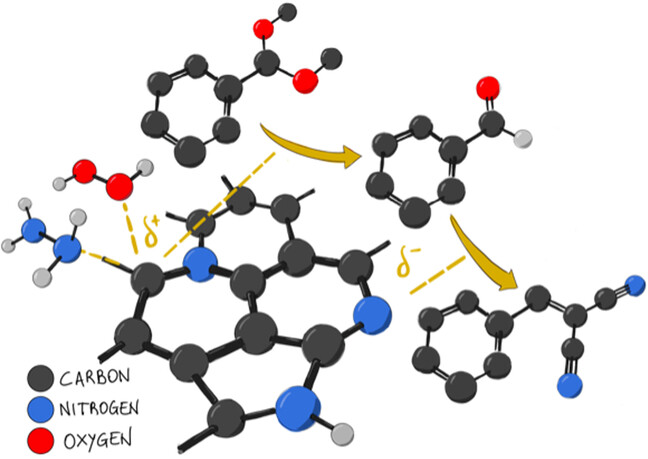 Catalytic Properties of High Nitrogen Content Carbonaceous Materials