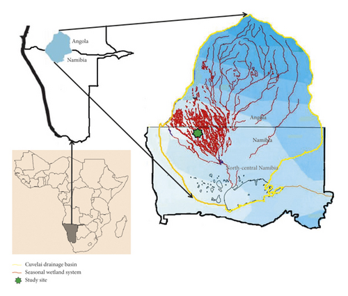 Details are in the caption following the image Details are in the caption following the image