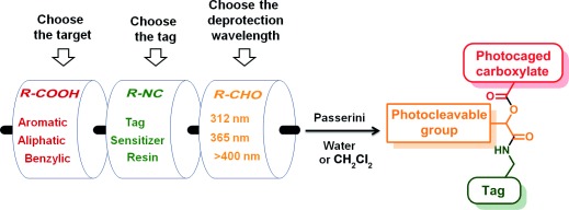 Photocaging of Carboxylic Acids: A Modular Approach