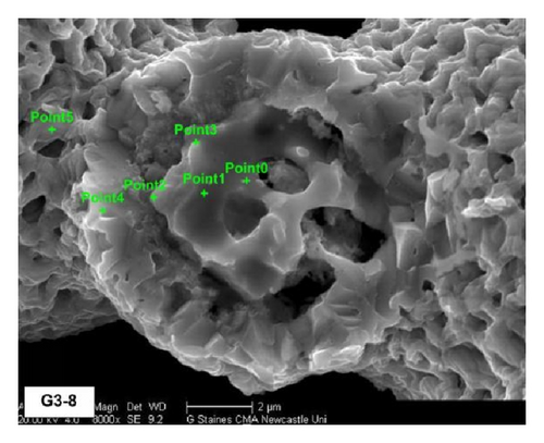 Details are in the caption following the image
