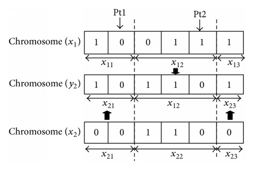 Details are in the caption following the image Details are in the caption following the image