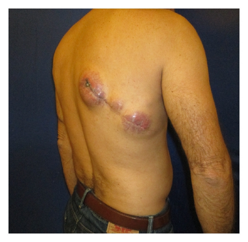 Details are in the caption following the image Details are in the caption following the image
