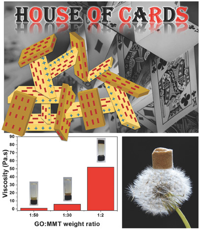 House of Cards Nanostructuring of Graphene Oxide and Montmorillonite Clay for Oil–Water Separation