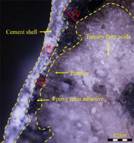 Details are in the caption following the image