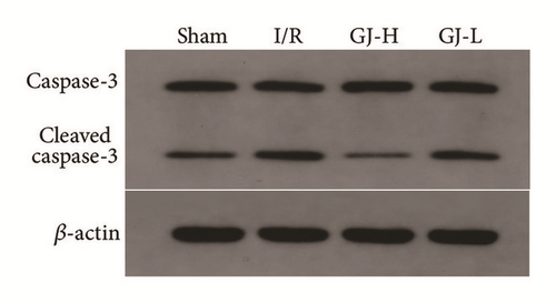 Details are in the caption following the image