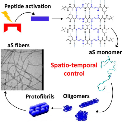Photoresponsive Prion-Mimic Foldamer to Induce Controlled Protein Aggregation