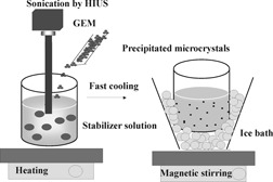 Effect of Sonocrystallization on the Habit and Structure of Gemfibrozil Crystals