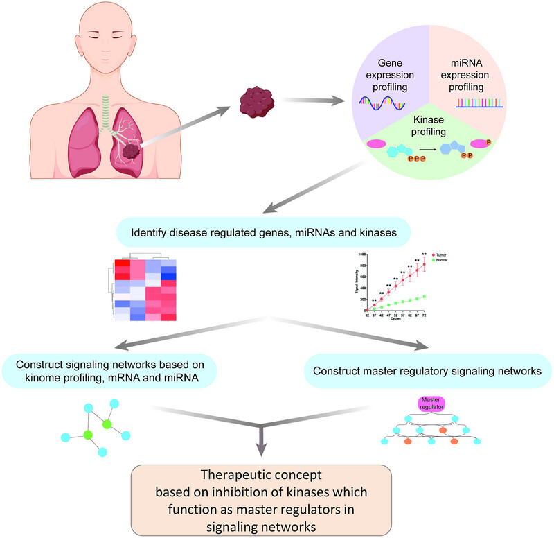 Comprehensive transcriptome, miRNA and kinome profiling identifies new treatment options for personalized lung cancer therapy
