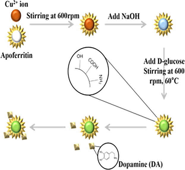 Cu2O QDs-Apoferritin as a Sensor Media for Neurotransmitters