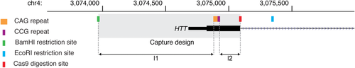 Details are in the caption following the image Details are in the caption following the image