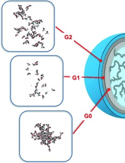 Dendronisierte hochverzweigte Makromoleküle: weiche Materie mit einer neuartigen Segmentverteilung