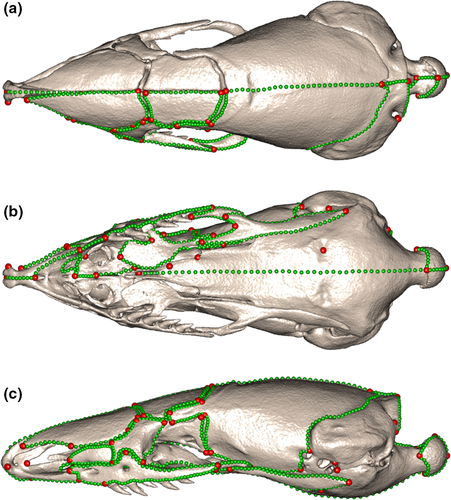Details are in the caption following the image Details are in the caption following the image