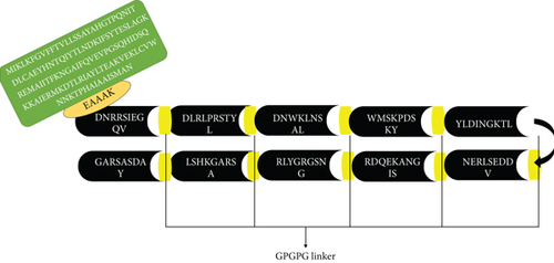 Details are in the caption following the image