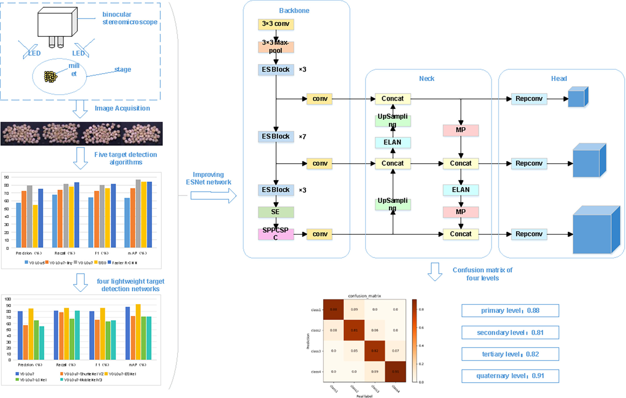 Research on lightweight detection algorithm for millet quality grading