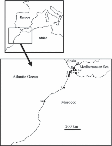 Details are in the caption following the image Details are in the caption following the image