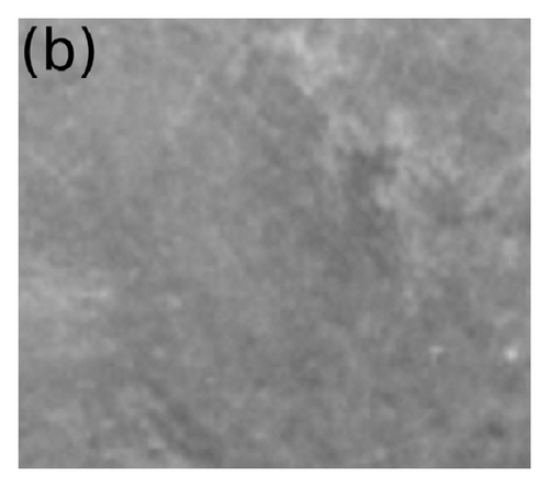 Details are in the caption following the image