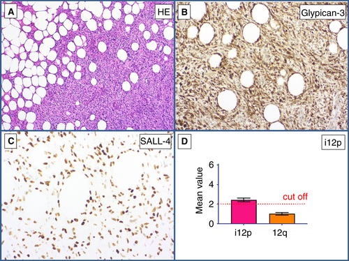 Details are in the caption following the image Details are in the caption following the image