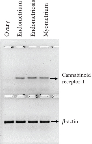 Details are in the caption following the image