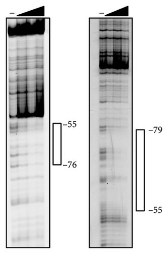 Details are in the caption following the image