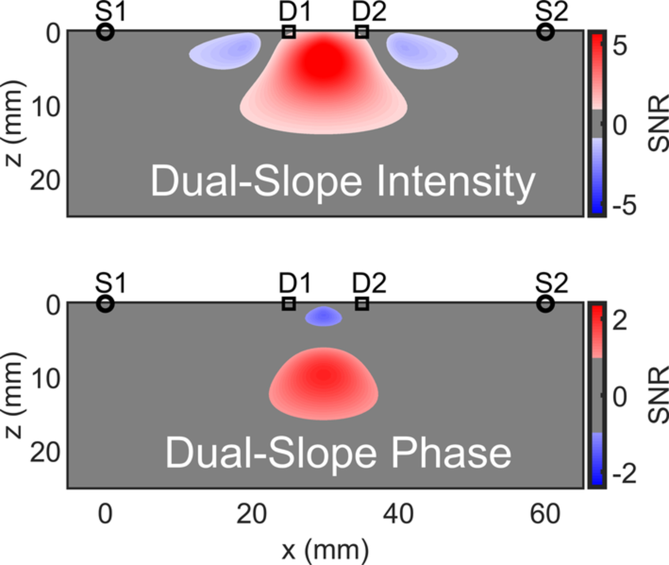 Phase dual-slopes in frequency-domain near-infrared spectroscopy for enhanced sensitivity to brain tissue: First applications to human subjects