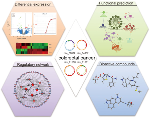 Identification of functional circRNA/miRNA/mRNA regulatory network for exploring prospective therapy strategy of colorectal cancer