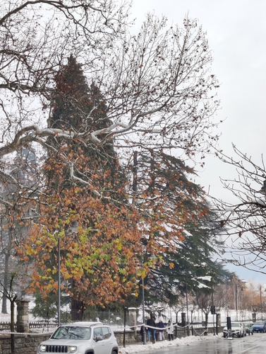 Details are in the caption following the image
