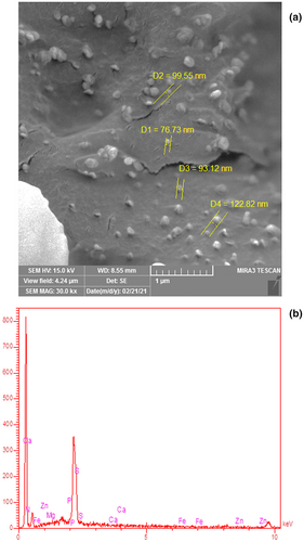 Details are in the caption following the image