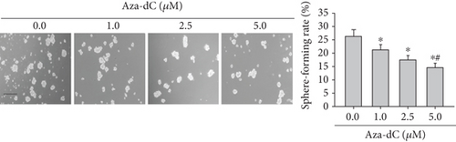Details are in the caption following the image