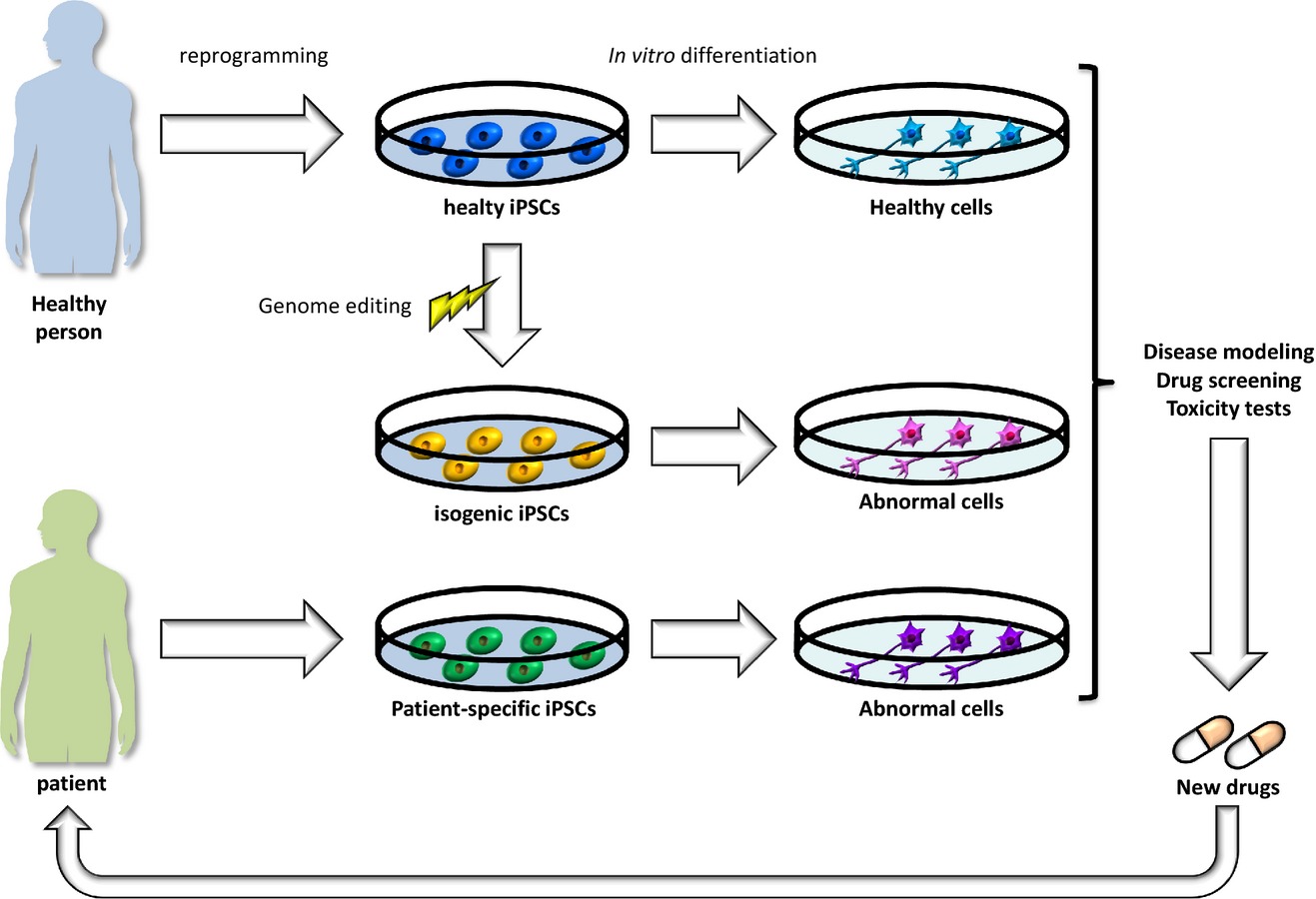 Modeling human neurological disorders with induced pluripotent stem cells