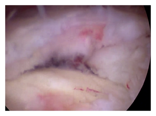 Details are in the caption following the image Details are in the caption following the image