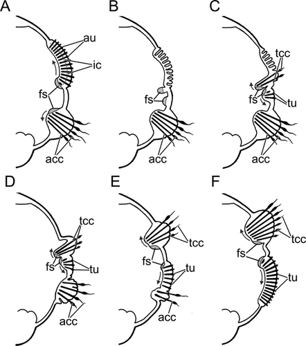 Details are in the caption following the image