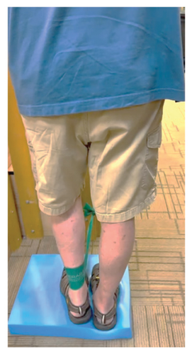 Details are in the caption following the image