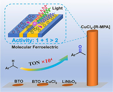 Application of Molecular Ferroelectric in Photocatalytic Selective Oxidization of C(sp3)─H Bonds