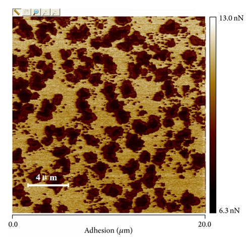 Details are in the caption following the image