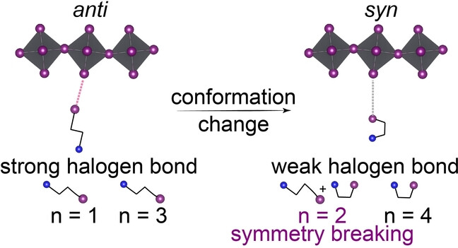 Rashba Band Splitting and Bulk Photovoltaic Effect Induced by Halogen Bonds in Hybrid Layered Perovskites